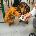 Angela Richmond - @dukes_reg_and_ralph_richmond - Instagram