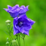 Ralph Durham - @ralphdurham21 - Instagram