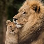 Ralph Durr - @ralph.durr.5 - Instagram