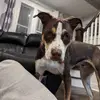 Ralph Douston - @ralph.douston - TikTok