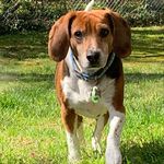 Ralph Dwyer - @imdeedaa - Instagram