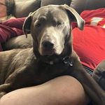 Ralph Easter - @easterralph - Instagram