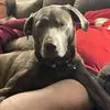 Ralph Easter - @ralph.easter6 - TikTok