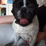 Ralph Eberle - @ikarus0812 - Instagram