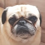 Ralph Ecknig - @ecknigralph - Instagram