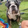 ralphy_teddy - @ralphy_teddy - TikTok