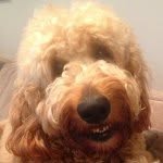 Ralph E. Doodle - @ralph_e_doodle - Instagram