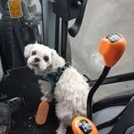Ralph Ehrhardt - @ehrhardt.ralph - Instagram