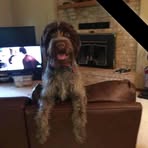 Ralph Eimerman - Facebook