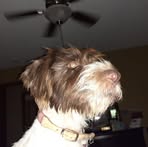 Ralph Eimerman - Facebook