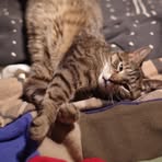 Ralph Eisenberg - Facebook