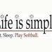 CICS Ralph Ellison Softball - Facebook