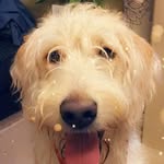 Ralph Emery - @ralph_the_dude - Instagram