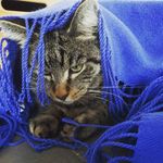 Ralph Engel - @fam.ralph.engel - Instagram