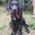 Ralph Engel - Facebook