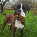 ralph engels - @engels.ralph - Instagram