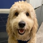 Ralph Dengler - @ralphcwilsonjrdengler - Instagram