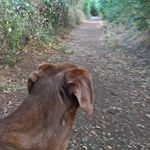 Ralph Englert - @ralphke - Instagram
