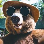 Ralph Erickson - @rafericksn - Instagram