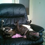 Ralph Evers - @ralph342013 - Instagram