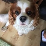 Ralph Fairclough - @ralph_fairclough - Instagram