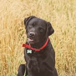 Ralph Fairley - @ralph_fairley - Instagram