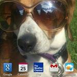 ralph falcone - @ralphfalcone - Instagram
