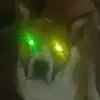 ralphfalconi - @ralphfalconi - TikTok