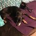 Ralph Farris - Facebook