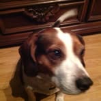 Ralph Ferro - Facebook