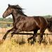 Ralf Fix - Facebook
