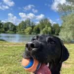 Ralph Flanagan - @ra1phf - Instagram