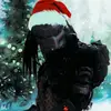 @zt.th - @ralphforster5 - TikTok