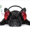 Ralph - @the.ralph.frederickson - TikTok