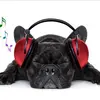 Ralphy.Frederickson.Hollister - @ralphy.in.stereo - TikTok