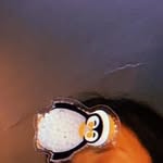 @ralphindafreezer - Instagram