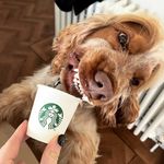 Ralph Gallagher - @_ralphs_life_ - Instagram
