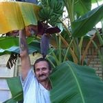 Ralph Gallagher - @gallagher_ralph - Instagram