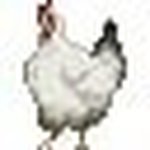 Ralph Gallardo - @ralph.gallardo.7792 - Instagram