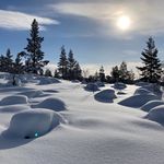 Ralph Gantenbein - @ralph_gantenbein - Instagram