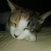 Ralph Gardner - @ralph.gardner33 - TikTok
