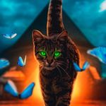 Ralph Garner - @ralph.garner.7777 - Instagram