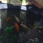 Ralph Garnett - @ralph.garnett - Instagram