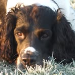 Ralph Gaskell - Facebook