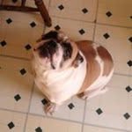 Ralph Gaskell - @rg1970jp - Instagram