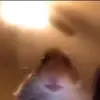 Polo Ralph Lauren - @poloralphlauren.germany - TikTok
