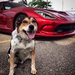 Ralph Gilles - @gilles.ralph - Instagram