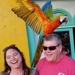 Ralph Gilley - Facebook