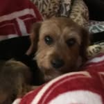 murphy ralph gilliam - @murphyralphgilliam - Instagram