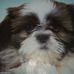 Ralph Gilliam - Facebook